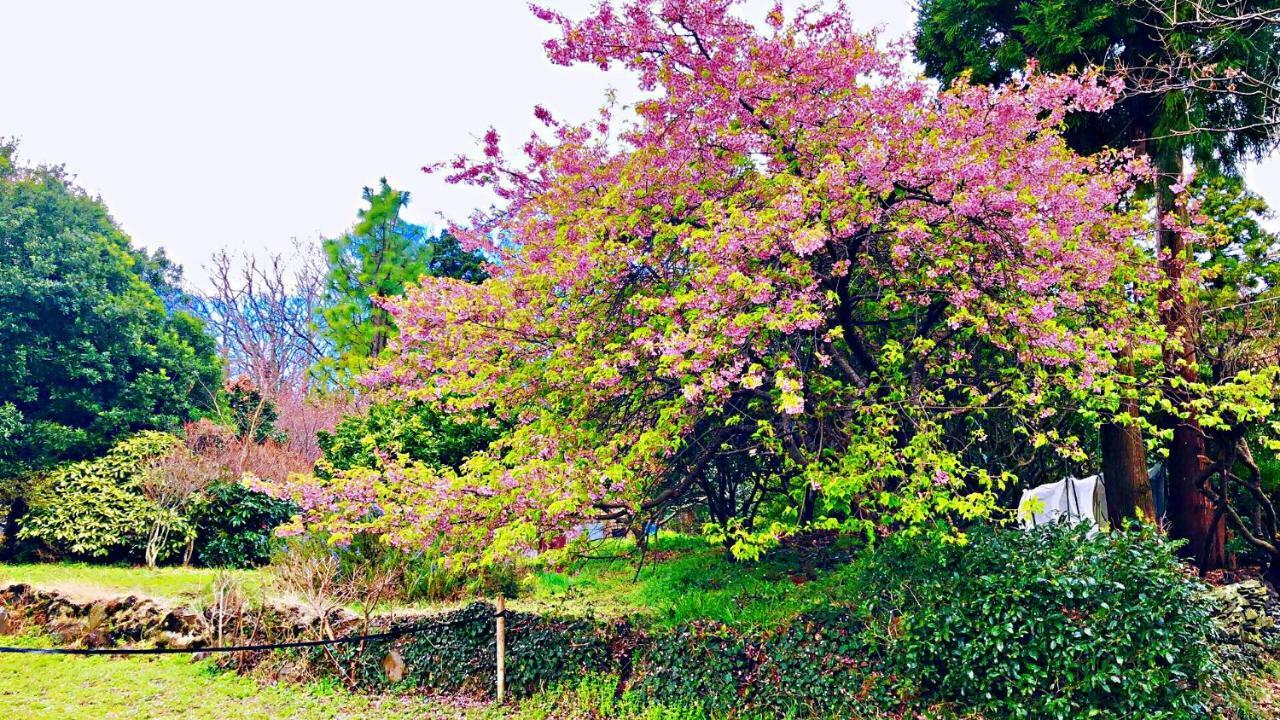 Forest Villa Olive Futo 외부 사진
