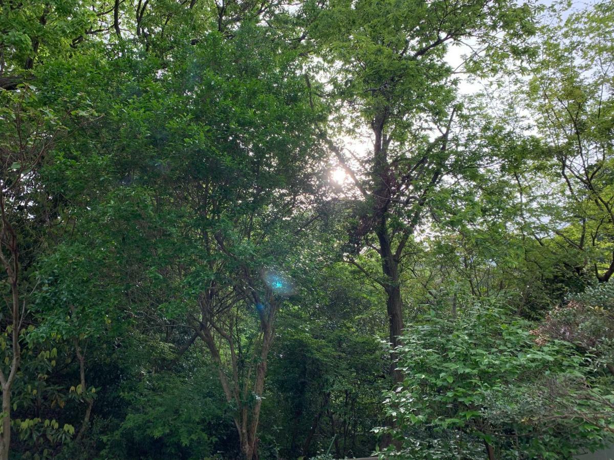 Forest Villa Olive Futo 외부 사진